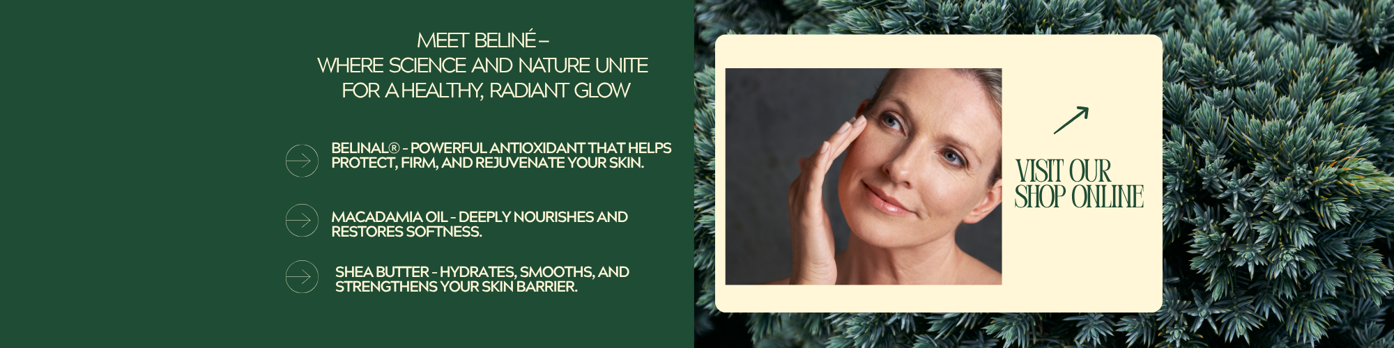 BeLine Body Contouring — Body Contouring — Beliné day cream — meet science and nature