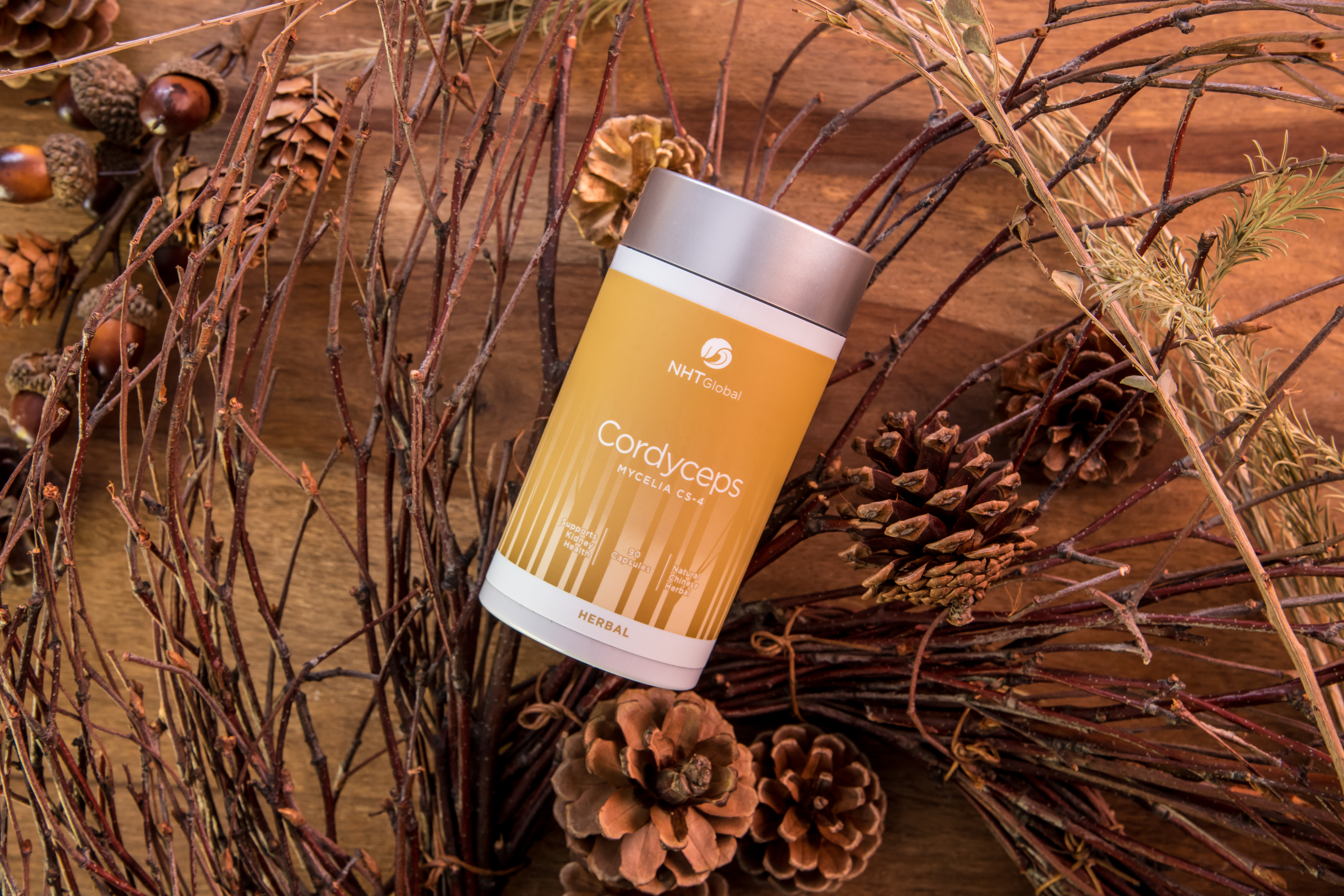 Cordyceps Mycelia CS-4